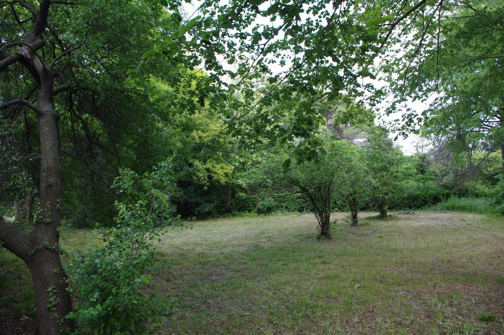 Chateau Le Vergel Authenac Ginestas Room photo